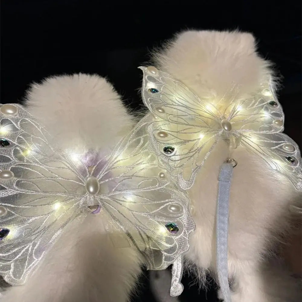 Ailes de papillon LED pour chat allumées dans le noir | Chic et Chat