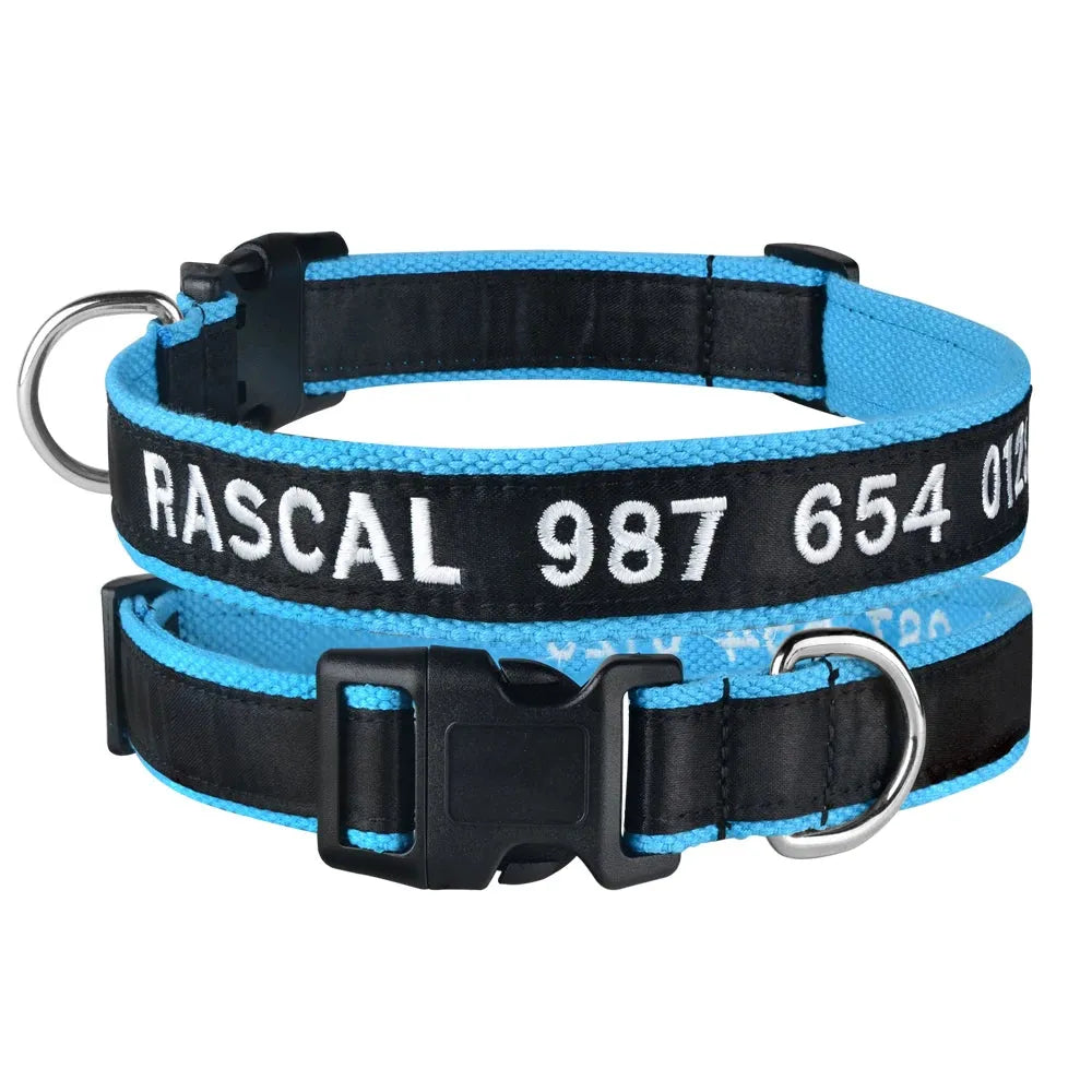 collar personalizable para gato azul | Chic et Chat