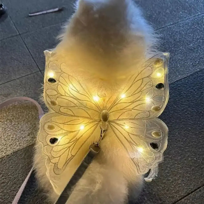 Ailes de papillon lumineuses pour chat