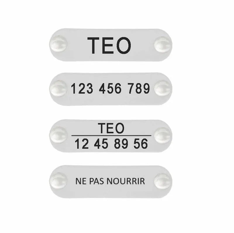 harnais pour chat avec plaque gravée