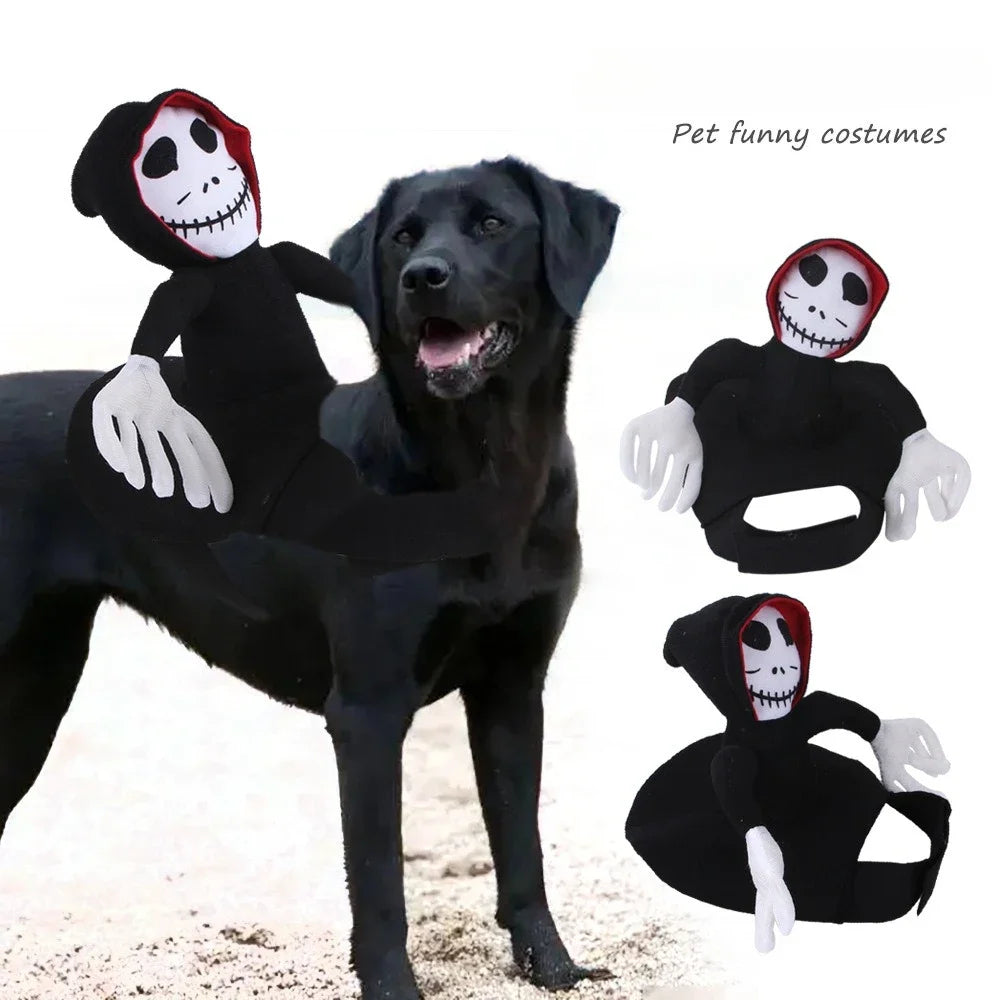 Costume fantôme squelette à capuche porté, déguisement Halloween | Chic et Chat