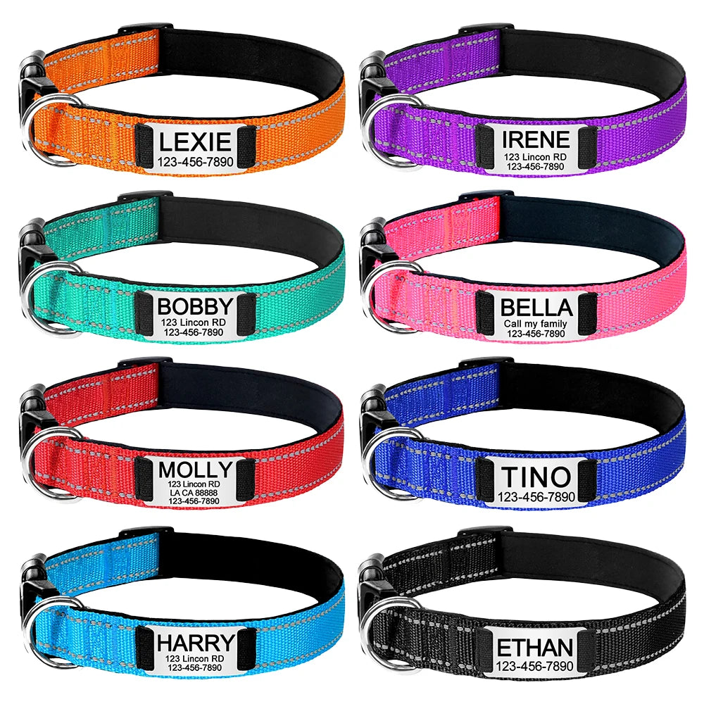 collier personnalisé pour chat réfléchissant avec plaque gravée et nylon ajustable