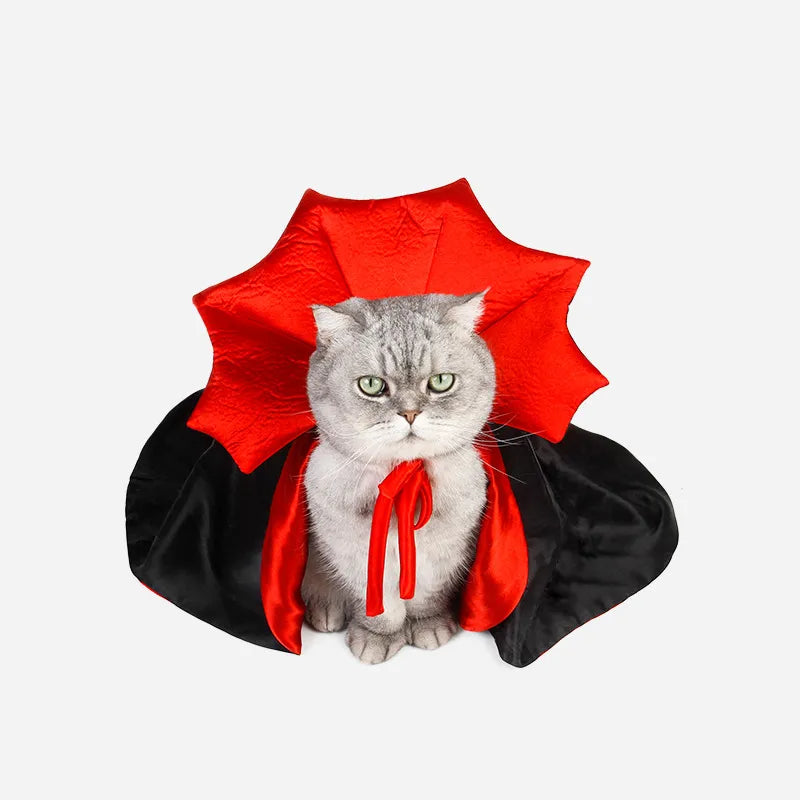 déguisement pour chat vampire