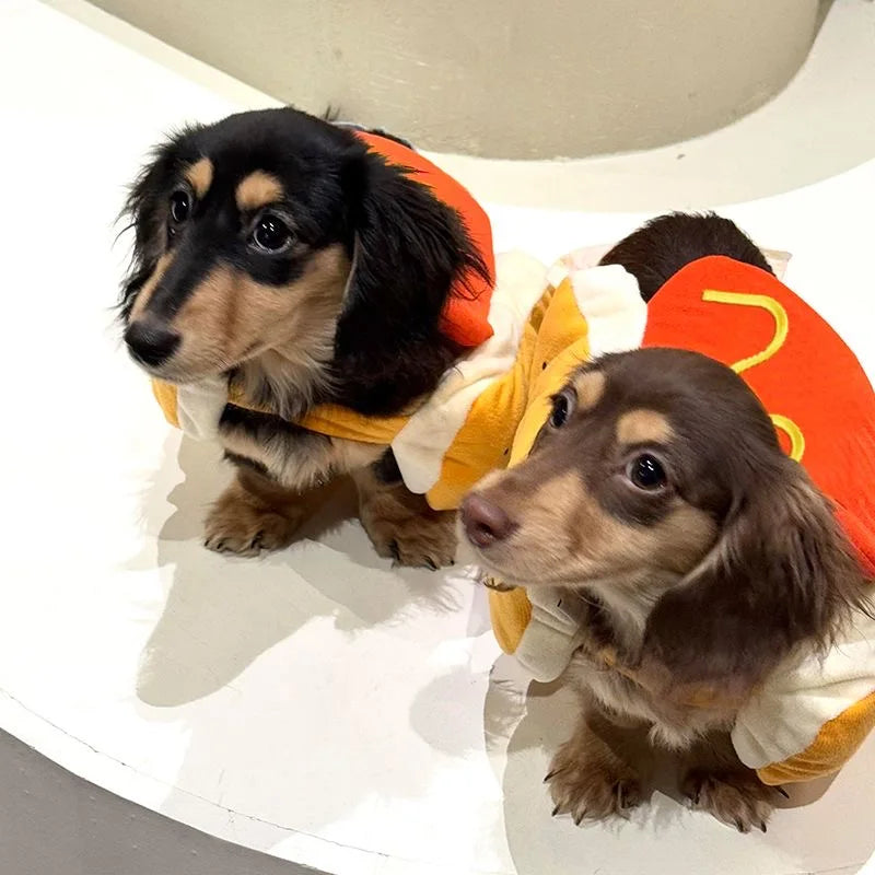 Petits animaux déguisés en hot-dog, costume drôle | Chic et Chat