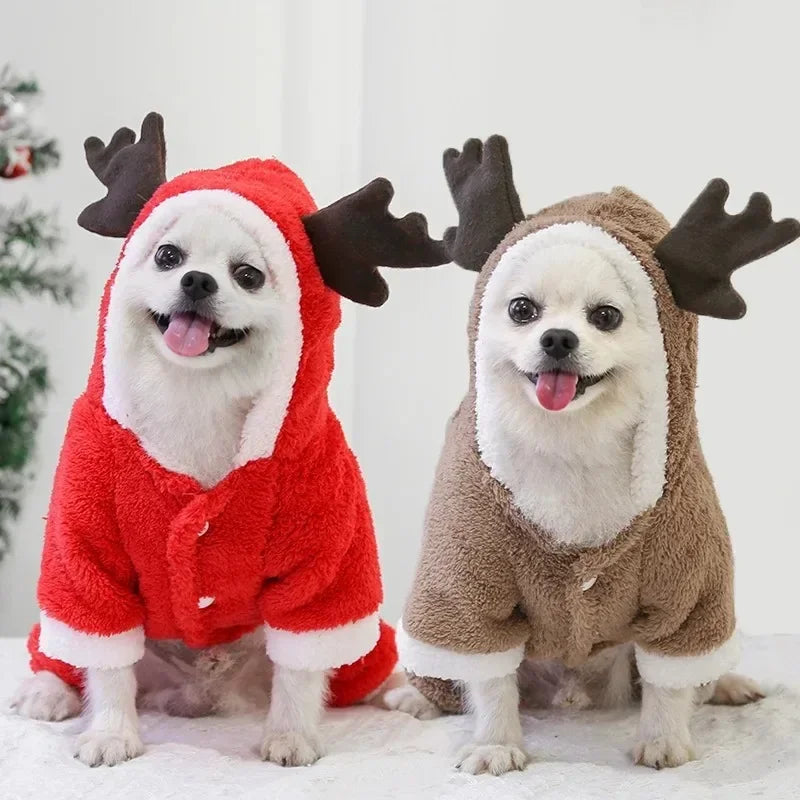 Katzen Weihnachtspullover, festliche Motive
