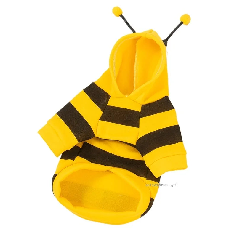 Costume pour chat abeille jaune et noir à capuche | Chic et Chat
