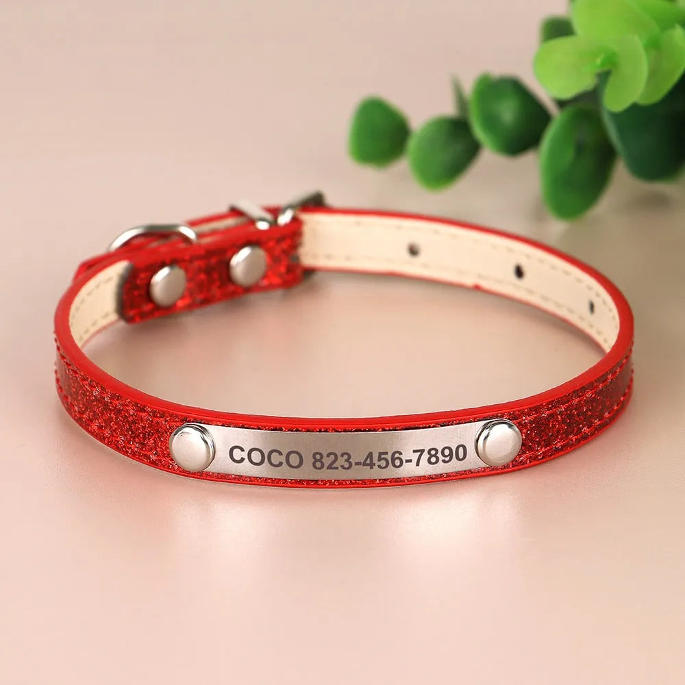 collier pour chat personnalisé rouge