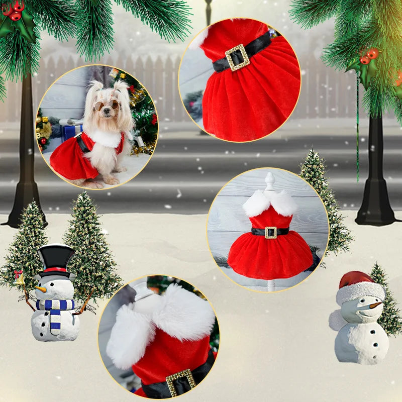 Robe de Noël pour chat