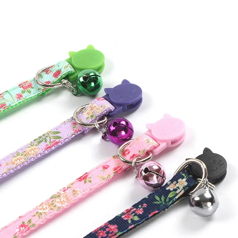 collier pour chat vert