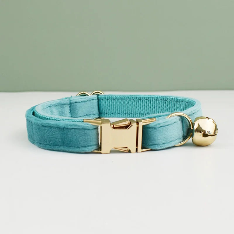 collier personnalisé pour chat gravé bleu