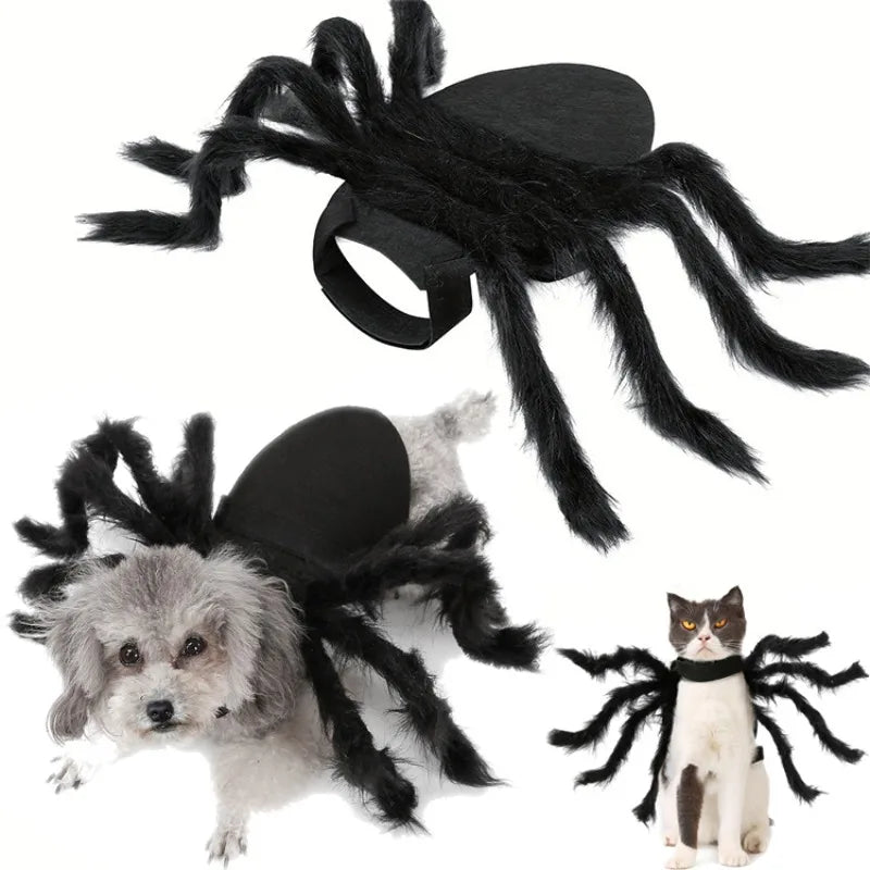 Costume pour chat araignée