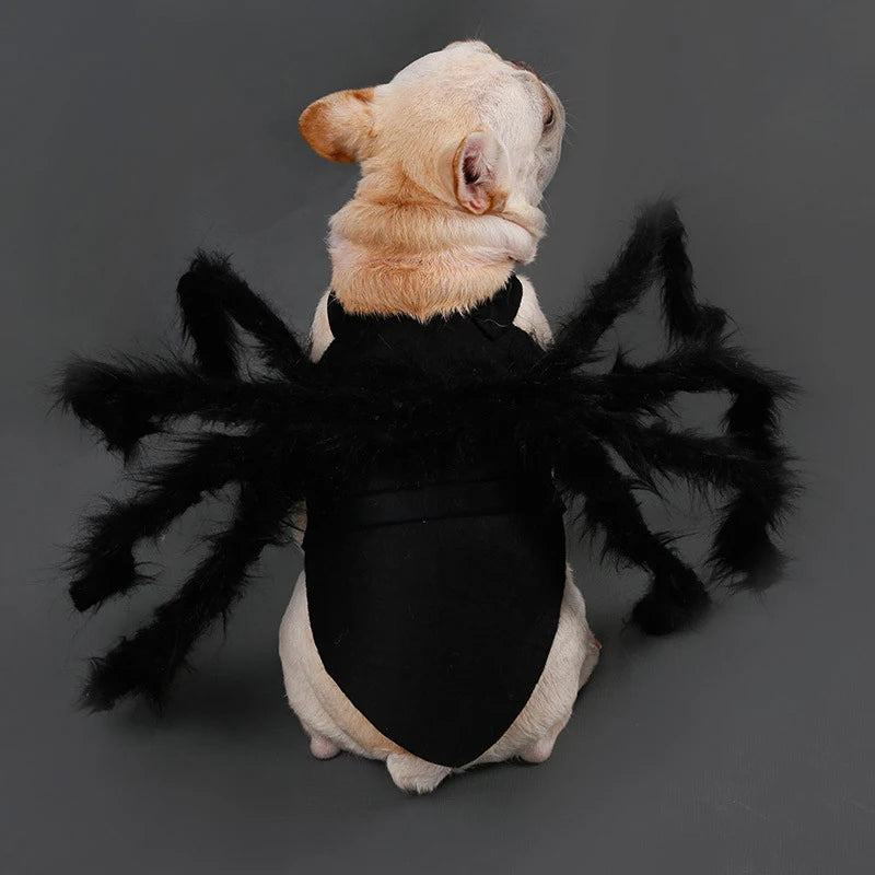 Costume pour chat araignée