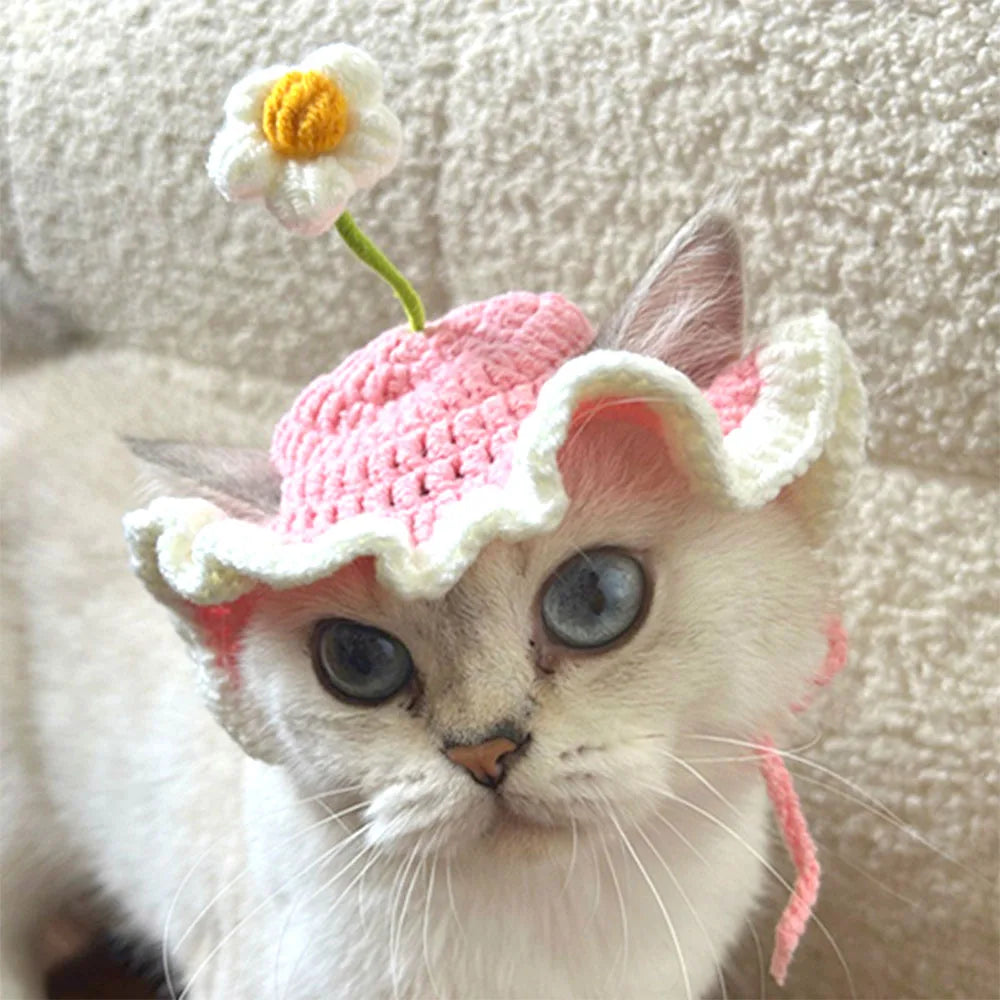 Chat portant un bonnet crochet rose à fleur | Chic et Chat