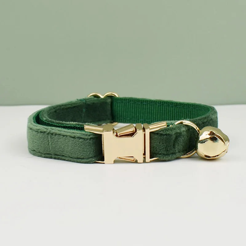 collier personnalisé pour chat vert