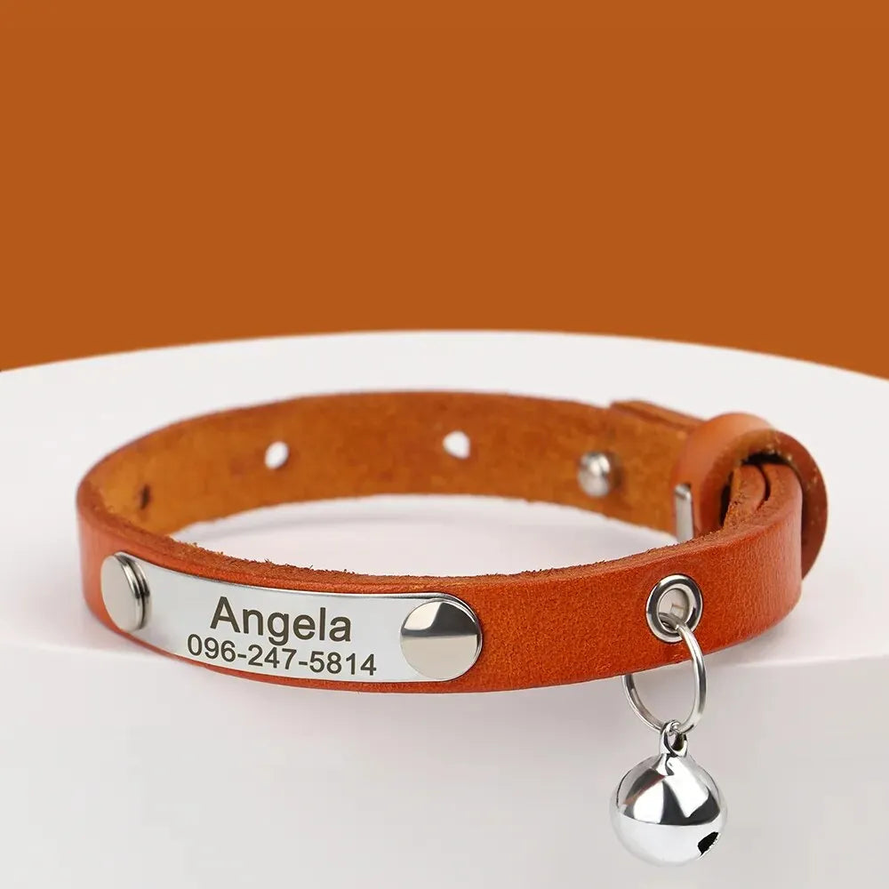 collier gravé pour chat en cuir orange