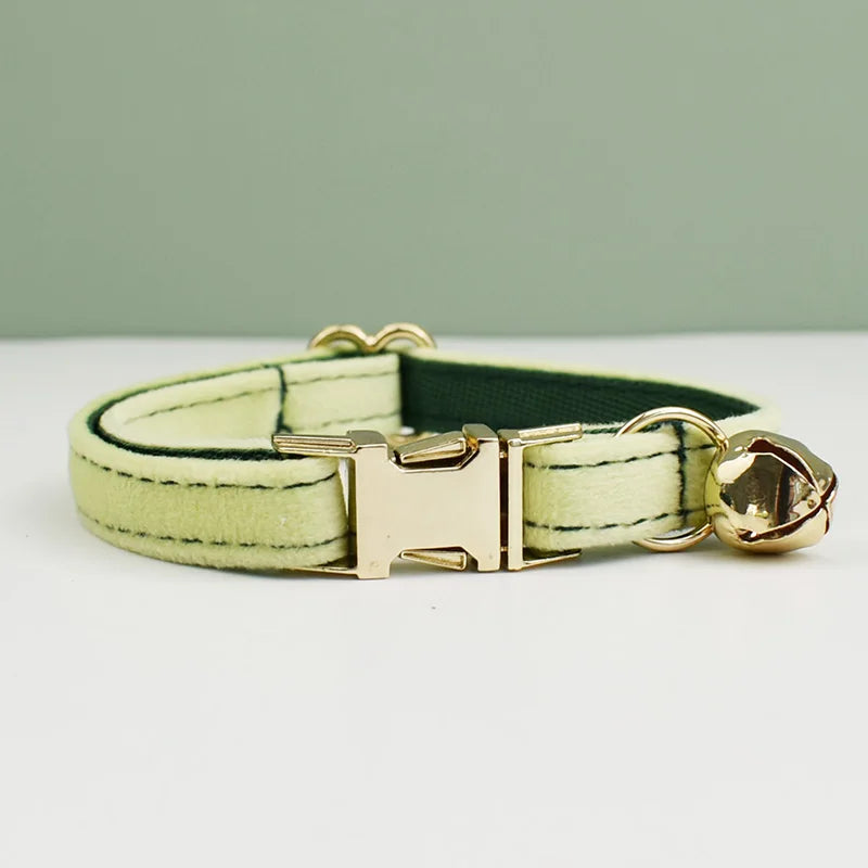 collier vert anis pour chat gravé