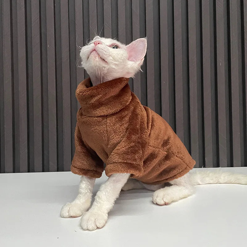 vêtement pour chat sphynx marron