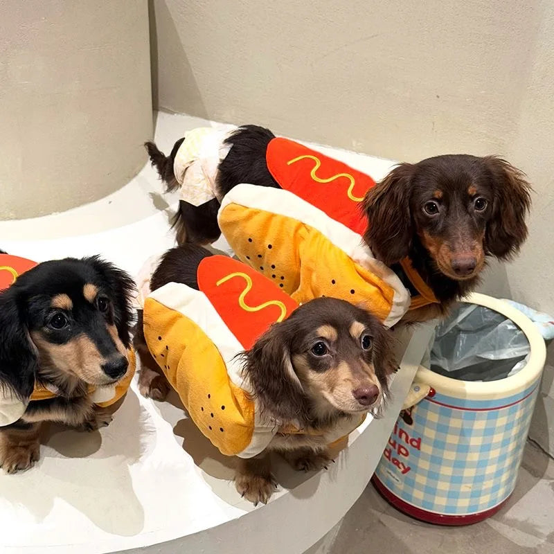 Déguisement hot-dog pour chat, petits animaux en costume de hot-dog | Chic et Chat