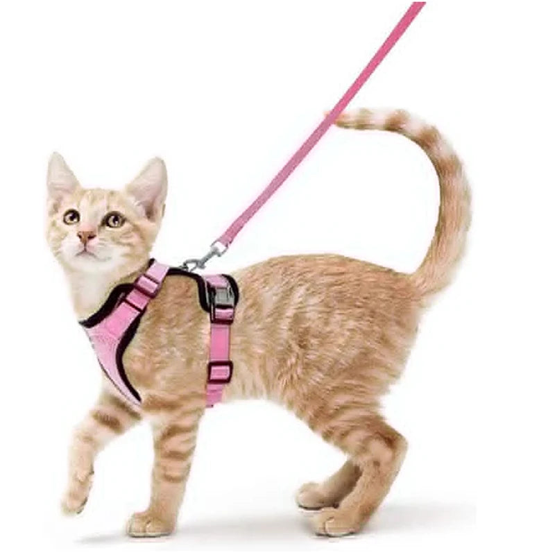 Harnais pour chaton rose