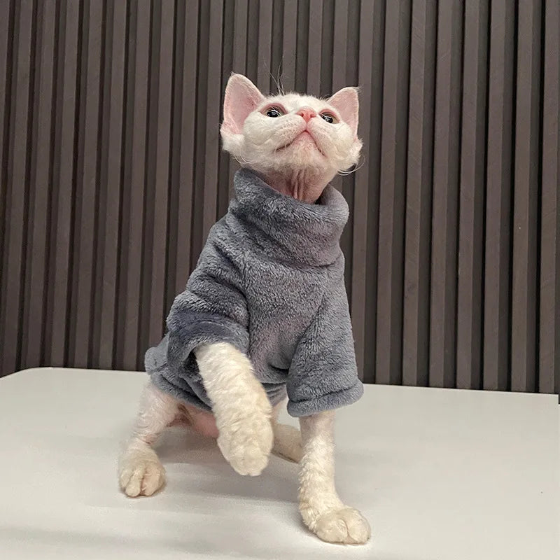 vêtement pour chat sphynx gris*