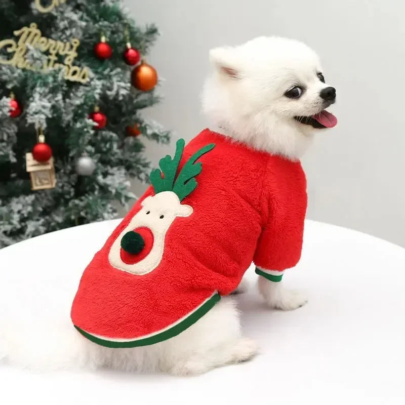 Katzen Weihnachtspullover, festliche Motive