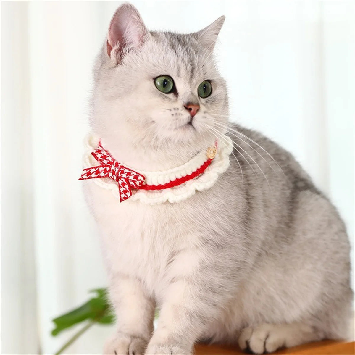 Collerette tricotée pour chat vue de détail