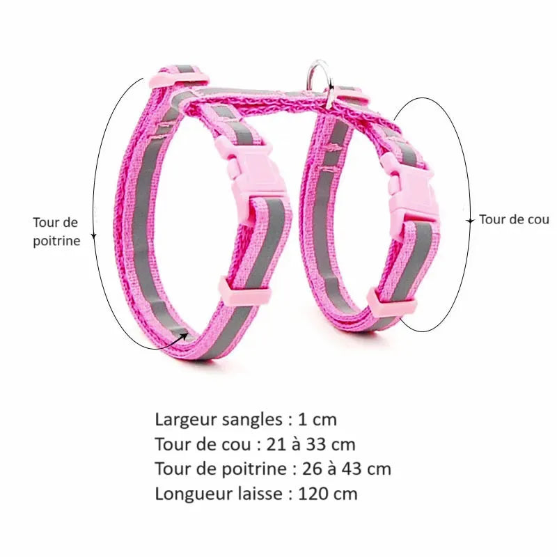 harnais pour chat personnalisé