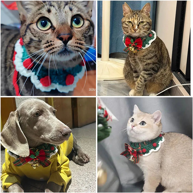 Collerette de Noël pour chat vue de près