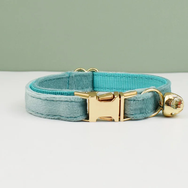 collier pour chat bleu