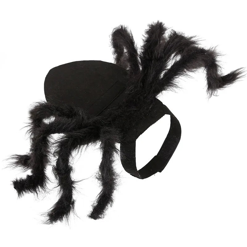 Costume pour chat araignée