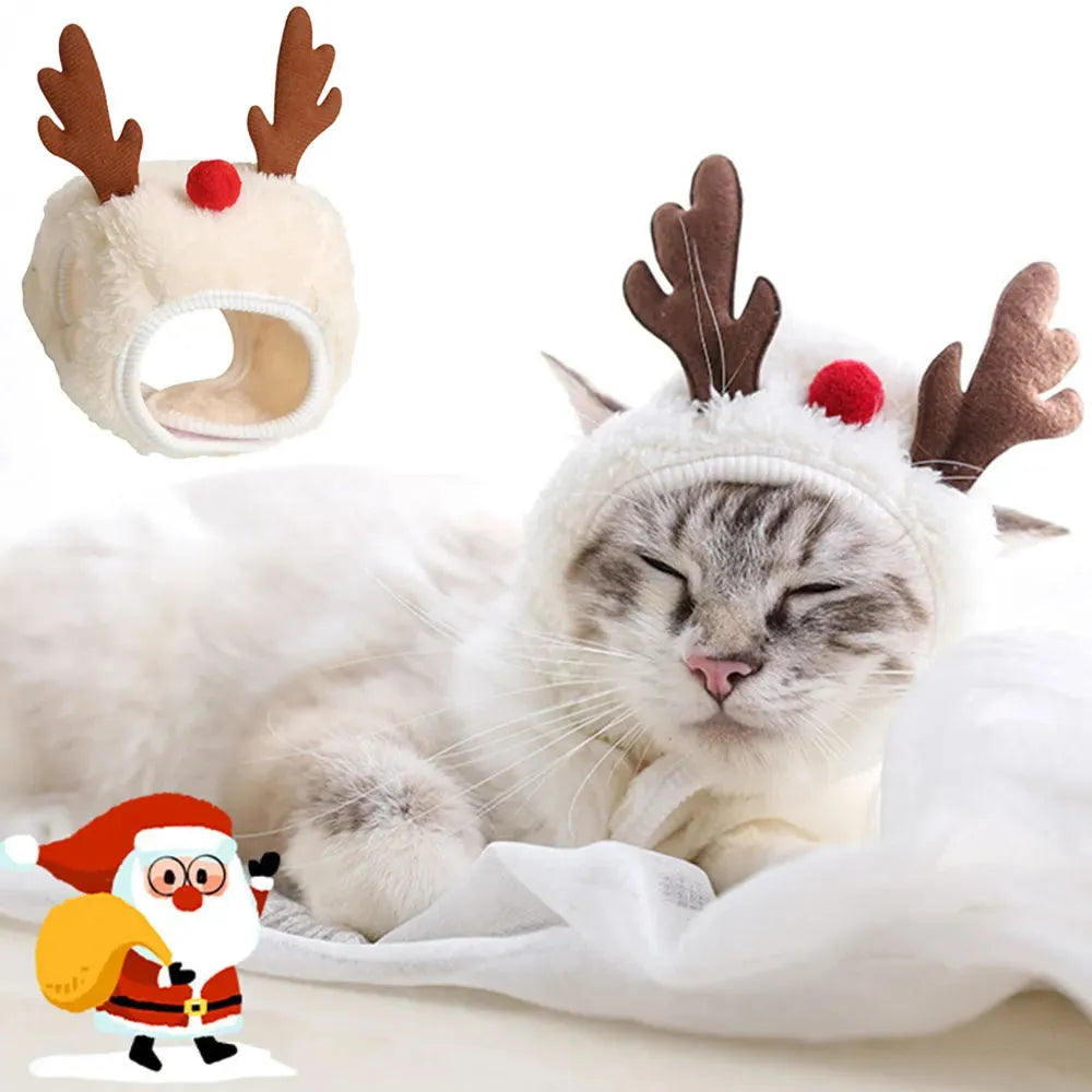déguisement pour chat de noel
