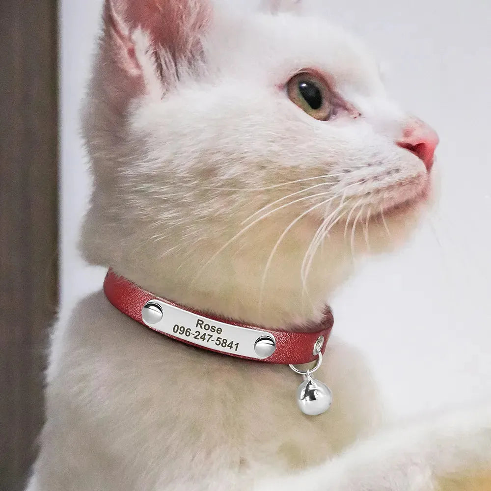 collier gravé pour chat en cuir marron