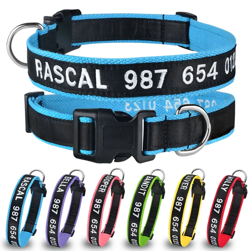 collar gato personalizado | Chic et Chat
