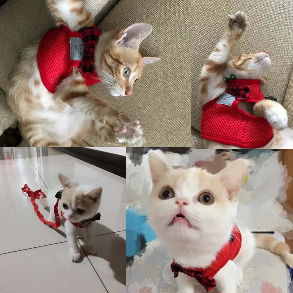 Katzengeschirr in Rot | Chic et Chat