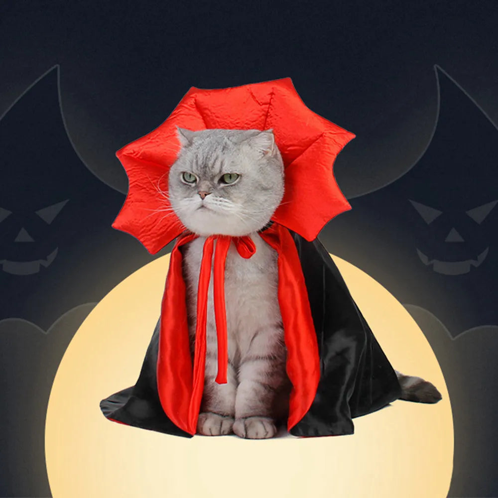 costume pour chats vampire