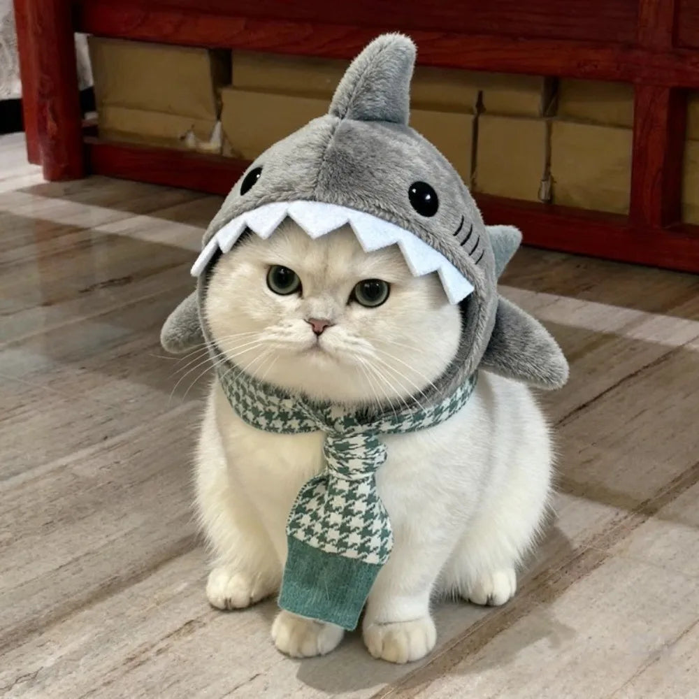Chat blanc avec bonnet requin pour chat | Chic et Chat
