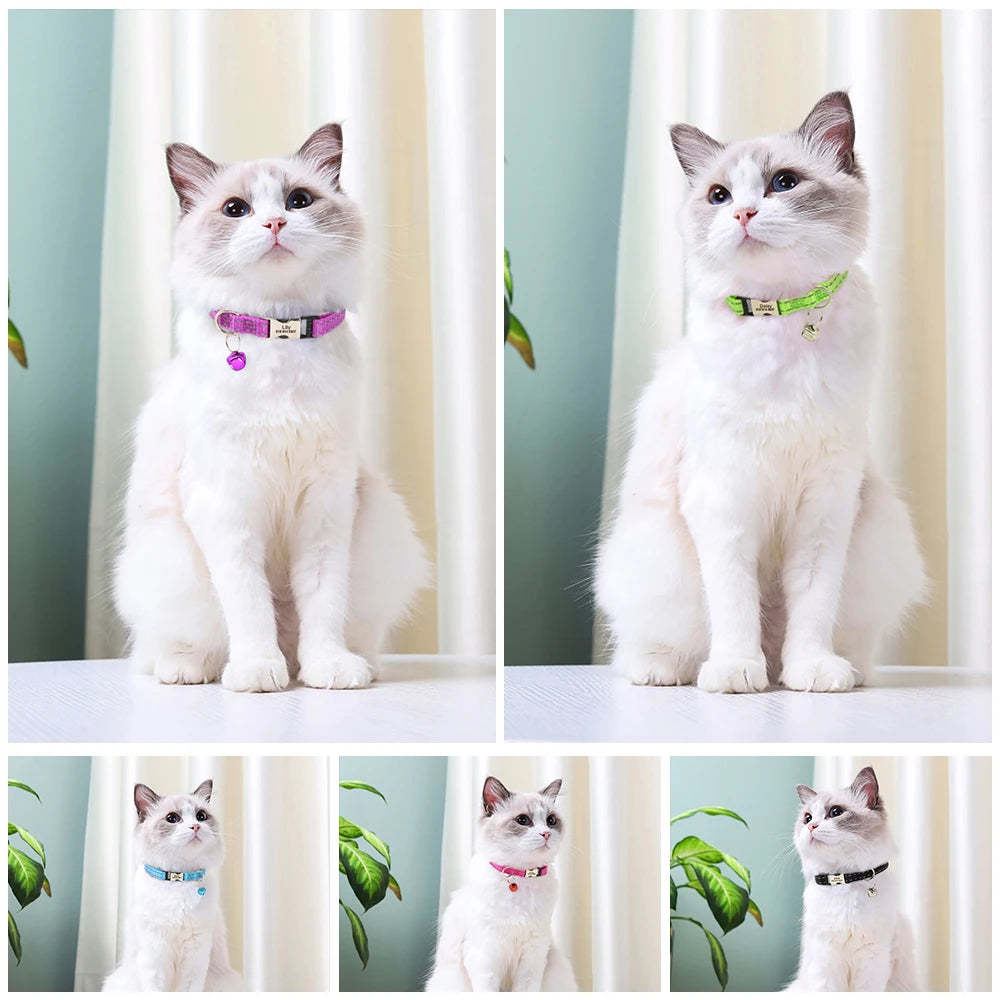 Collar para gato con cierre grabado – Personalización gratuita | Chic et Chat