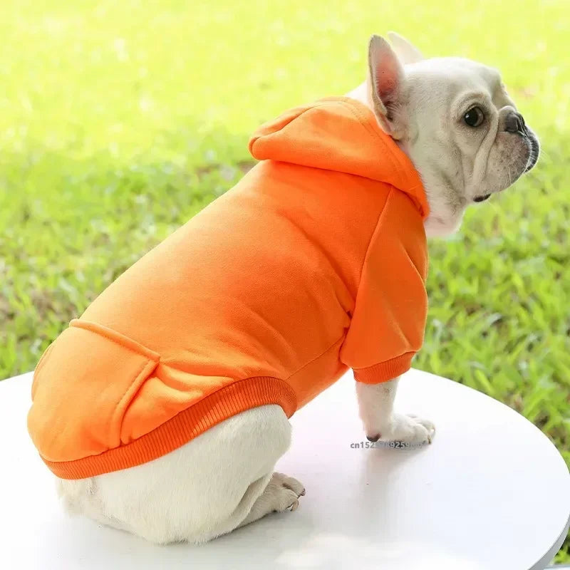 Sweat à capuche pour chat
