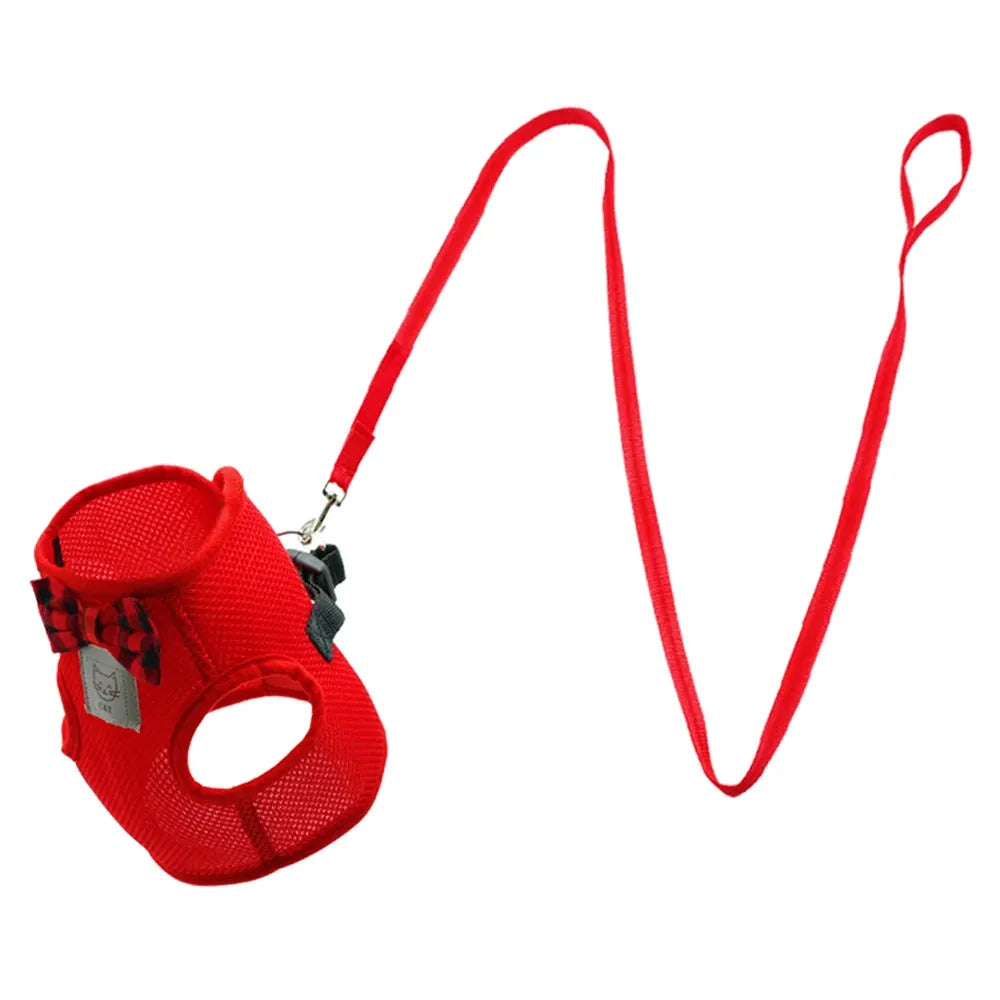 Harnais chat chic rouge laisse