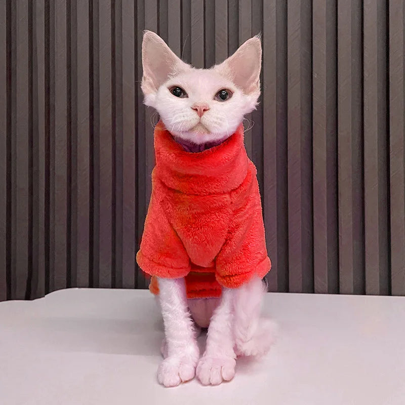 vêtement pour chat sphynx rouge