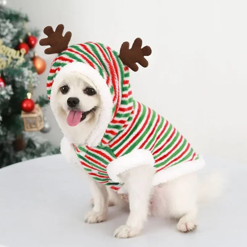 Katzen Weihnachtspullover, festliche Motive