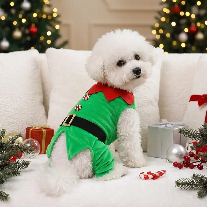 Costume lutin de Noël pour chat avec col rouge et ceinture | Chic et Chat