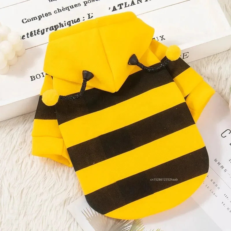 Déguisement abeille pour chat vu de dos | Chic et Chat