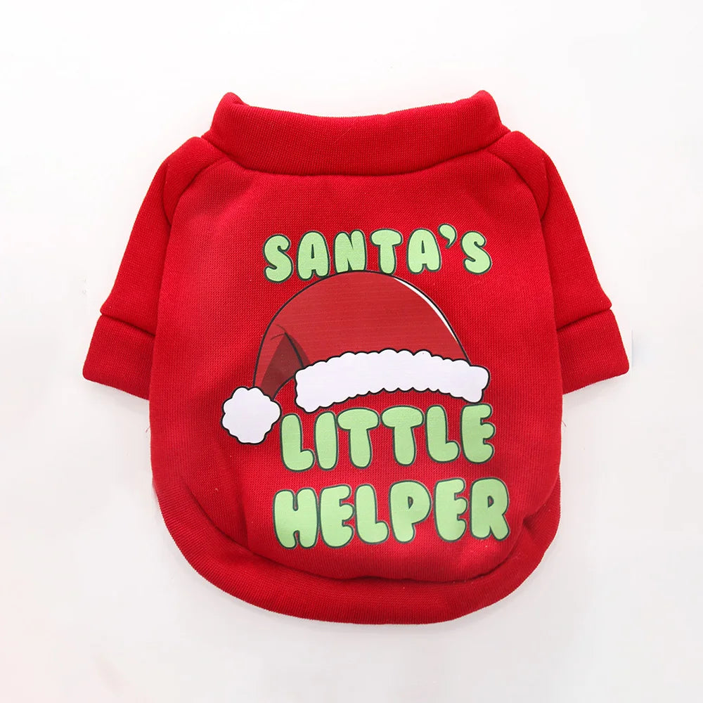 Pull de Noël pour chat rouge motif bonnet de Noël | Chic et Chat