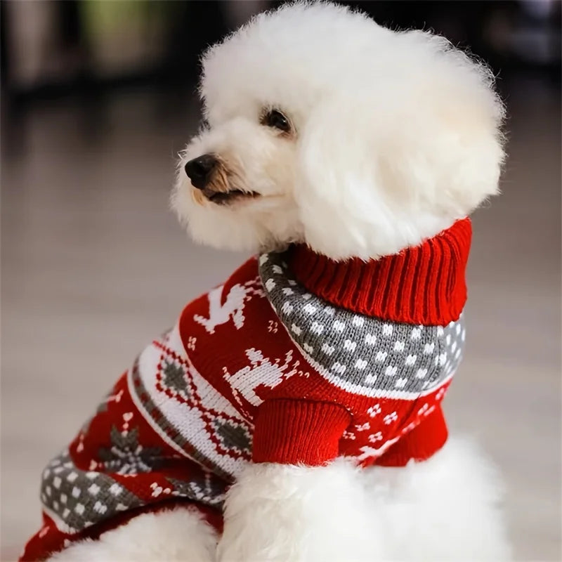 Pull de Noël nordique pour chat