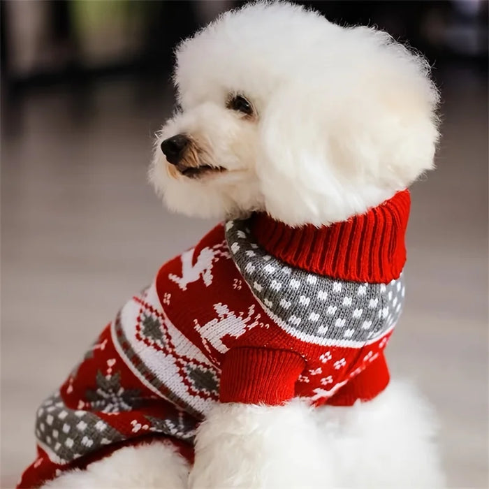 Pull de Noël nordique pour chat