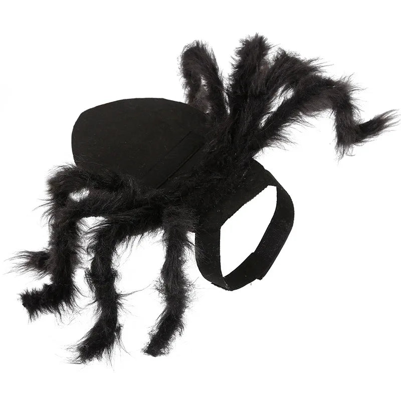 Costume pour chat araignée