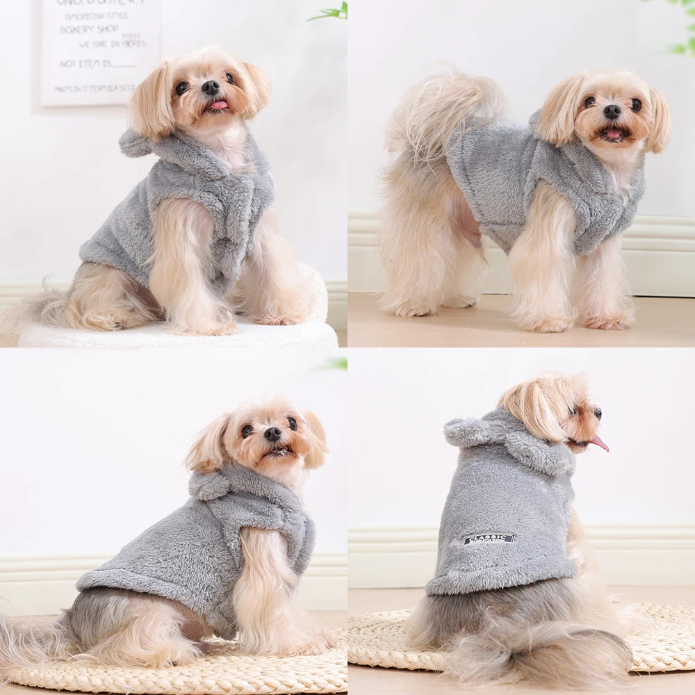 Déguisement ours gris porté sous plusieurs angles, capuche à oreilles | Chic et Chat