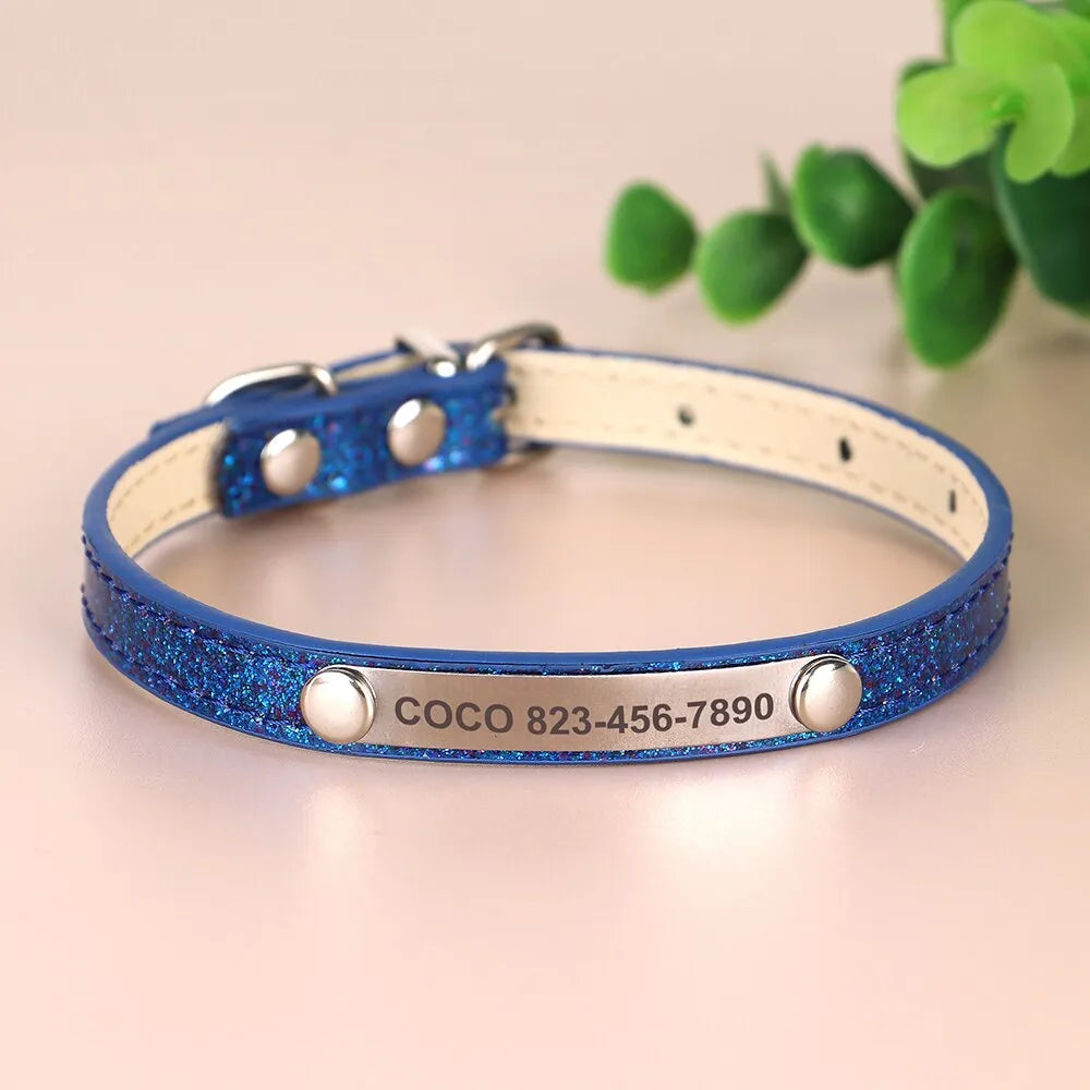 collier pour chat personnalisé bleu brillant