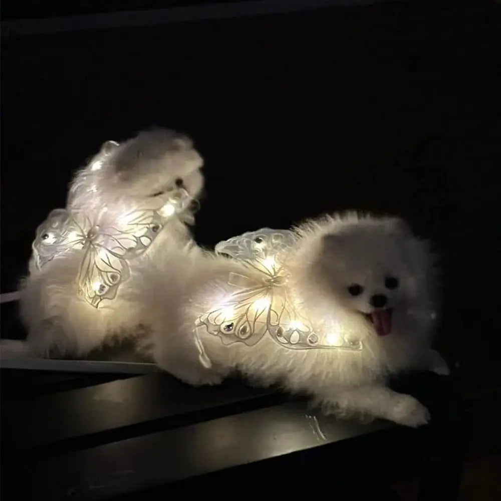 Petits animaux avec ailes de papillon lumineuses blanches | Chic et Chat